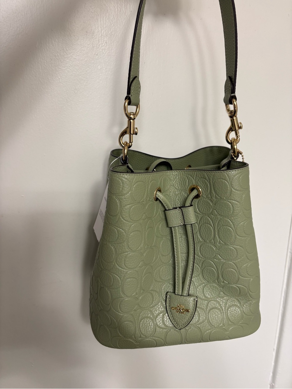 Coach  pistachio Sage Green Pebbled Leather Drawstring Bucket Bag